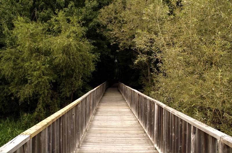 Photography by Jomatotu for DesignCrowd (Community Contests) | Design #9034105