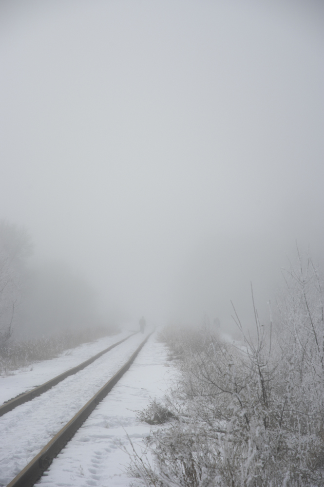 Photography by cjsphoto for DesignCrowd (Community Contests) | Design #9034110