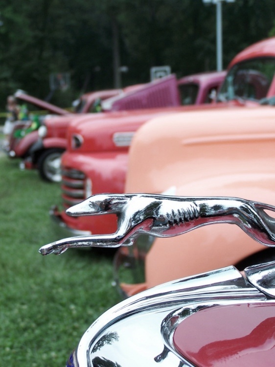 Photography by MountainDew for DesignCrowd (Community Contests) | Design #9036450