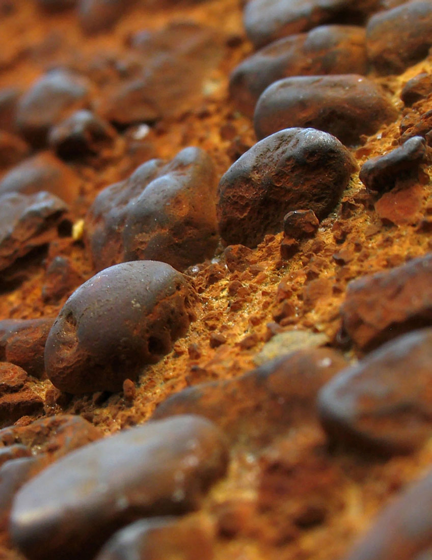 Photographie par Ritu26 pour DesignCrowd (Community Contests) | Design #9036444