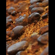 Photography by Ritu26