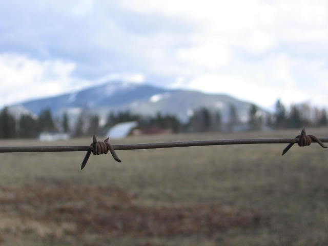 Fotografía por MissMea para DesignCrowd (Community Contests) | Diseño #9036462