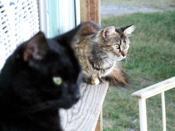 Photography by jamesgslade for DesignCrowd (Community Contests) | Design #9036470