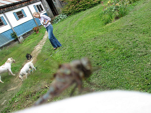 Photography by angel2kiss for DesignCrowd (Community Contests) | Design #9036394