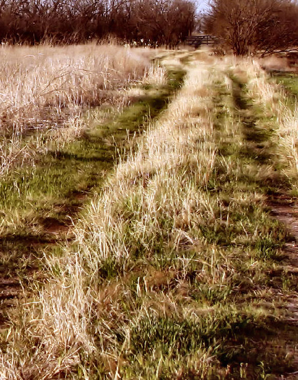 Fotografía por Suziecuchon para DesignCrowd (Community Contests) | Diseño #9034133