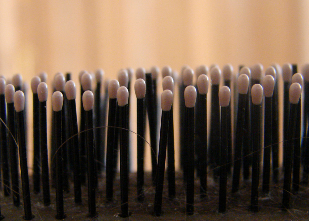 Photography by bigevil600 for DesignCrowd (Community Contests) | Design #9028266