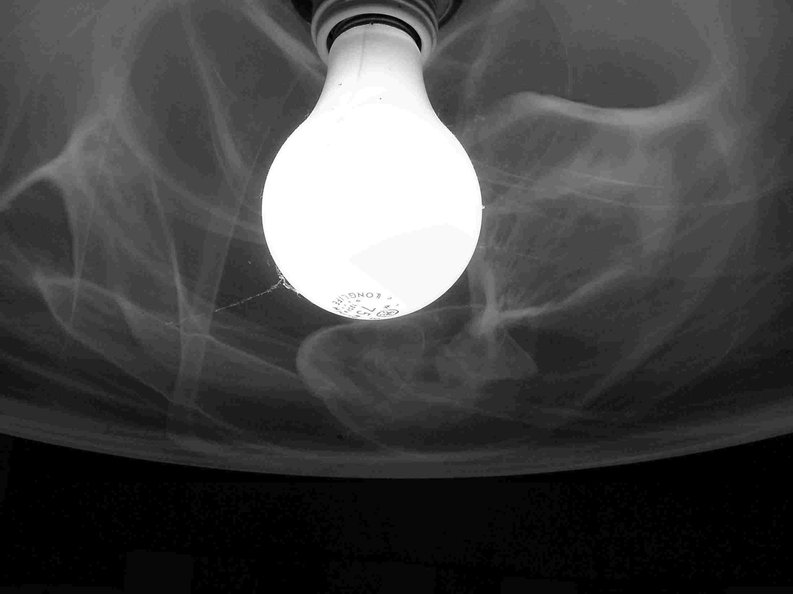 Photography by slimjewel1 for DesignCrowd (Community Contests) | Design #9028305