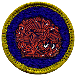 Photoshop Design by jersalv1 for DesignCrowd (Community Contests) | Design #9037203