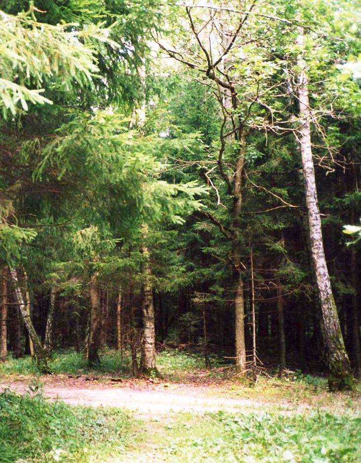 Fotografía por poisonyvy para DesignCrowd (Community Contests) | Diseño #9034159