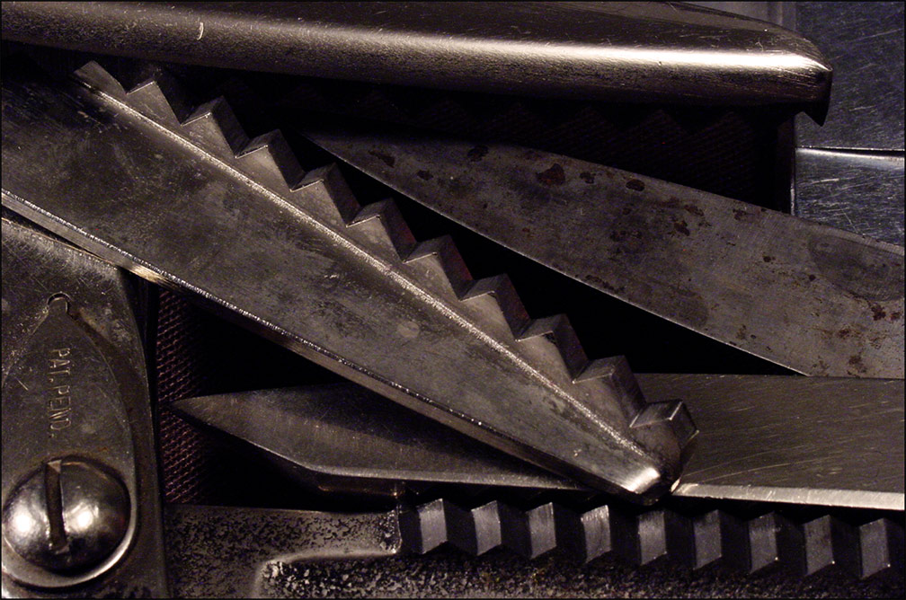 Photography by mysterio for DesignCrowd (Community Contests) | Design #9028328