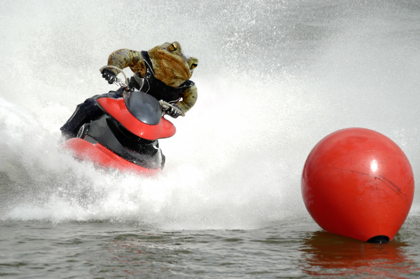 Photoshop Design by Calaveras for DesignCrowd (Community Contests) | Design #9033825