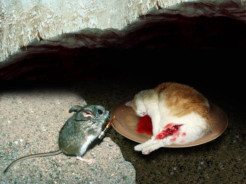 Photoshop Design by creativerajkumar for DesignCrowd (Community Contests) | Design #9037015