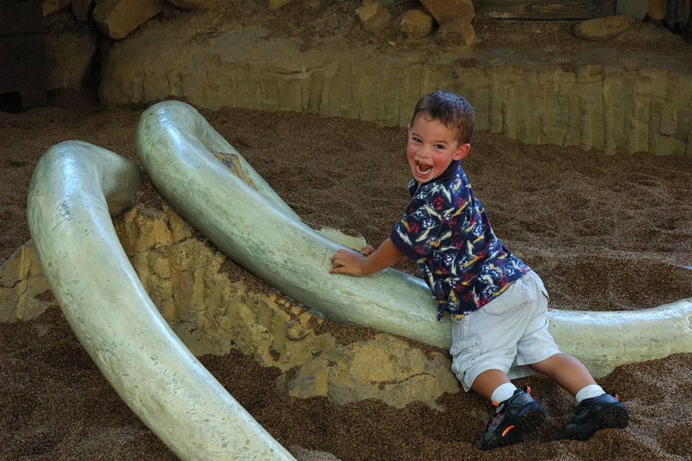 Fotografía por Jawizza para DesignCrowd (Community Contests) | Diseño #9035391