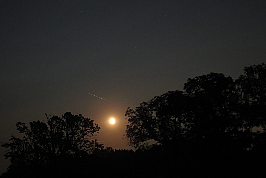 Photography by spincast1123 for DesignCrowd (Community Contests) | Design #9027402