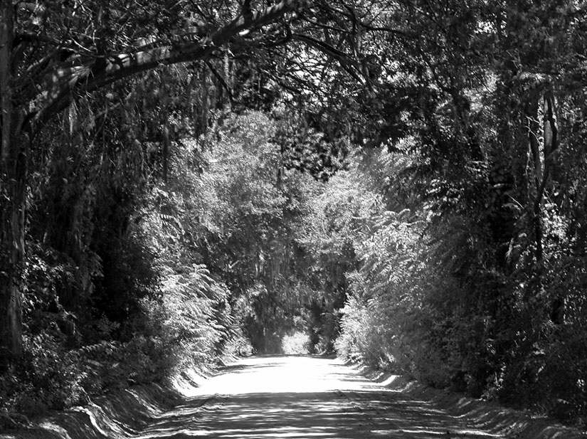 Photographie par Jawizza pour DesignCrowd (Community Contests) | Design #9034198