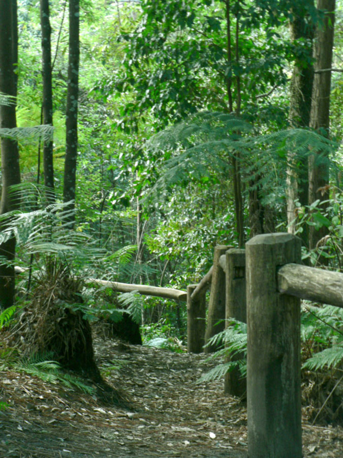 Photographie par gymp93 pour DesignCrowd (Community Contests) | Design #9034272