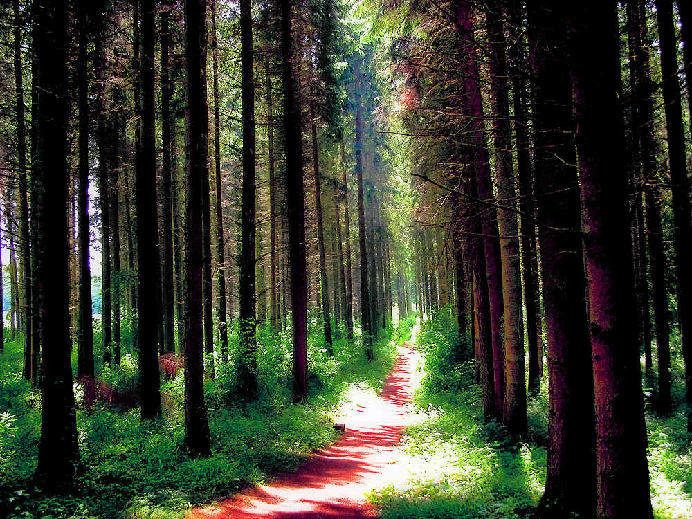 Photography by unit25 for DesignCrowd (Community Contests) | Design #9034243