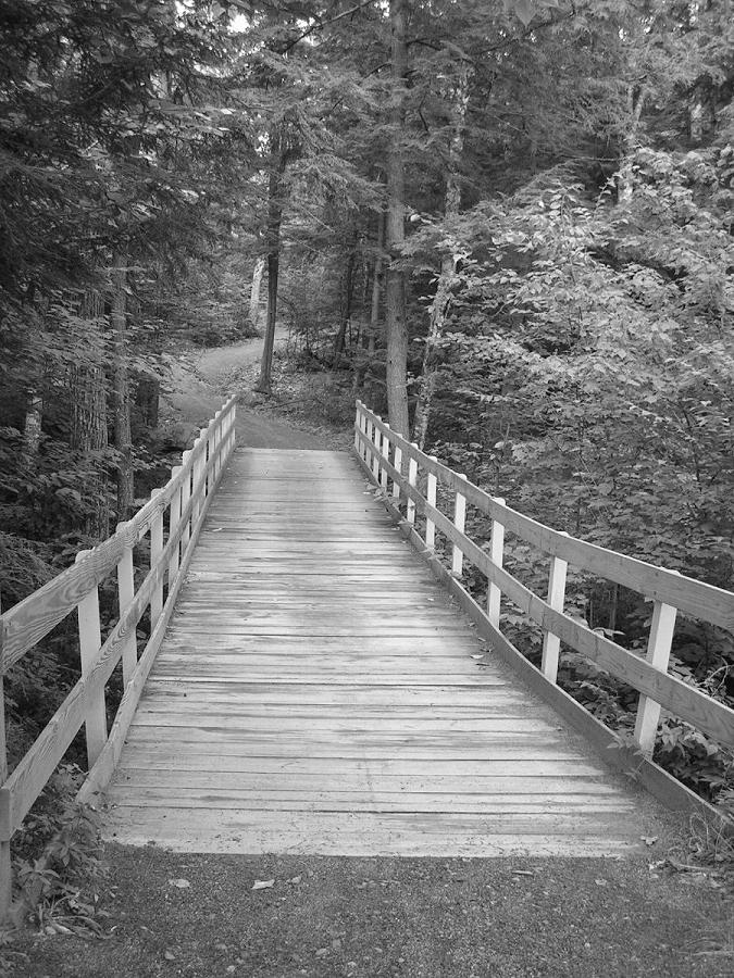 Photography by KerryElizabeth for DesignCrowd (Community Contests) | Design #9034308