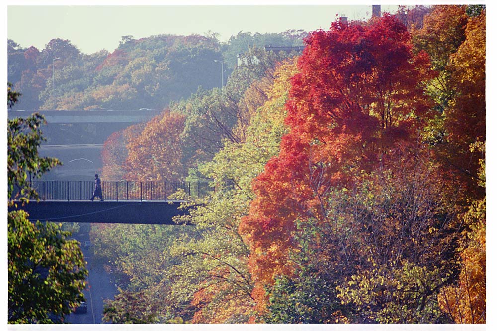 Photography by digiteyes for DesignCrowd (Community Contests) | Design #9034186