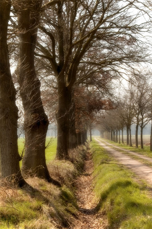 Fotografía por Marian para DesignCrowd (Community Contests) | Diseño #9034213