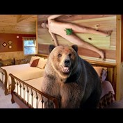 Photoshop Design by sugarcane