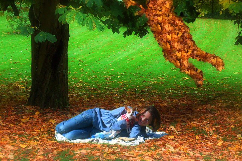 Diseño de Photoshop por worldtraveler666 para DesignCrowd (Community Contests) | Diseño #9037128