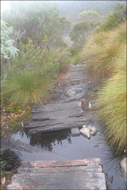 Photography by map9994 for DesignCrowd (Community Contests) | Design #9034252