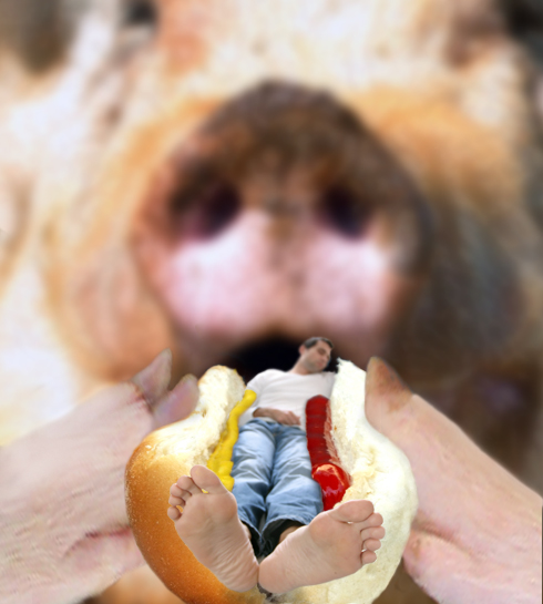 Diseño de Photoshop por Calaveras para DesignCrowd (Community Contests) | Diseño #9037149