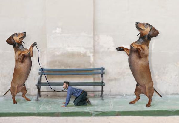 Photoshop Design by RachelB for DesignCrowd (Community Contests) | Design #9037169