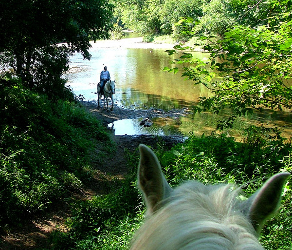 Fotografie von Lacenflanl für DesignCrowd (Community Contests) | Design #9034301