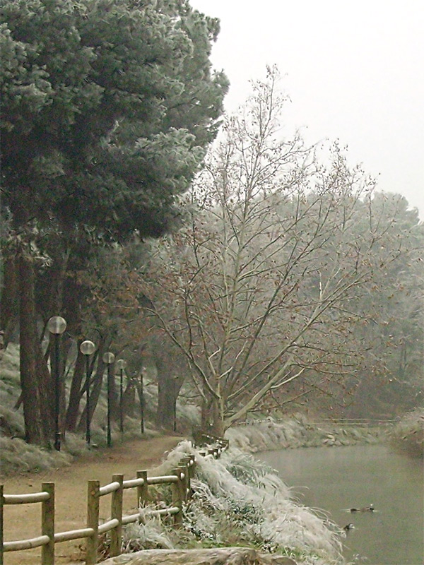 Photography by IsleofJura for DesignCrowd (Community Contests) | Design #9034263