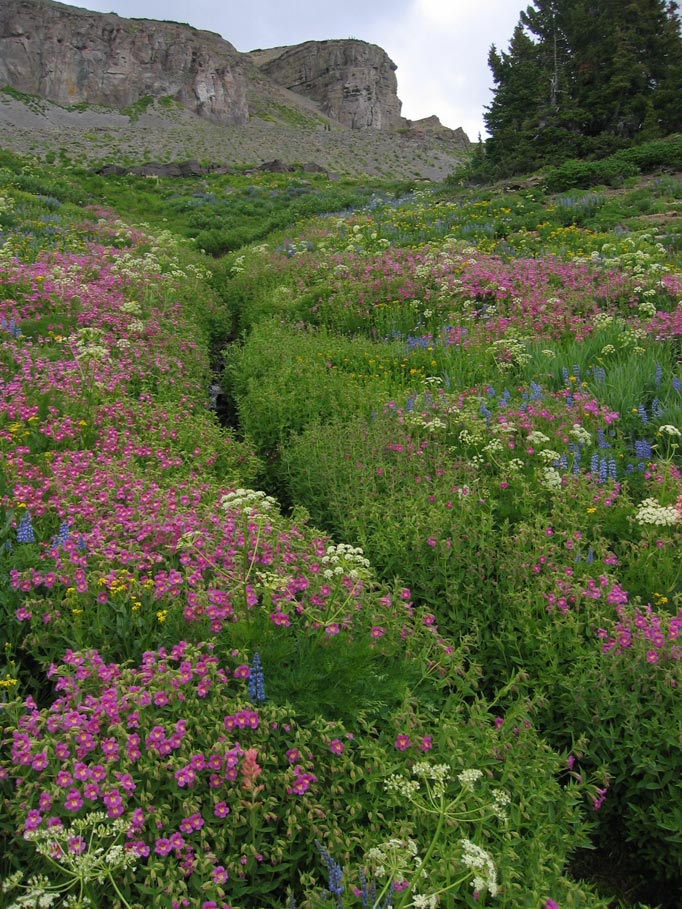 Photography by braindead for DesignCrowd (Community Contests) | Design #9034170