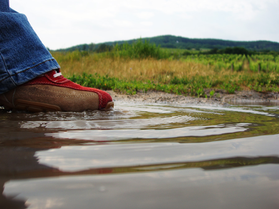 Photography by johnybb for DesignCrowd (Community Contests) | Design #9032081