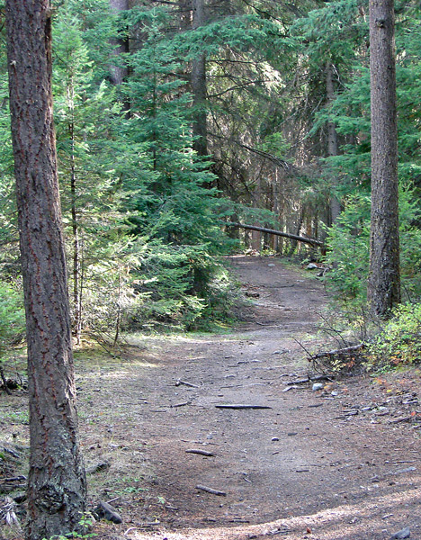 Fotografie von jayman175 für DesignCrowd (Community Contests) | Design #9034362