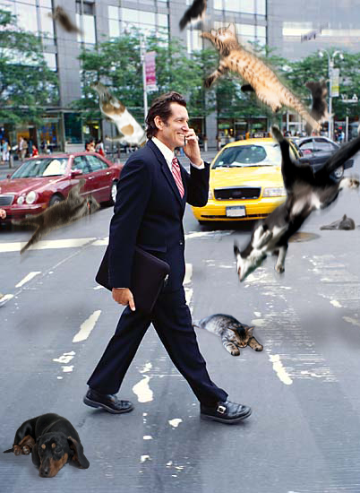 Photoshop Design by Commanderloochy for DesignCrowd (Community Contests) | Design #9038097