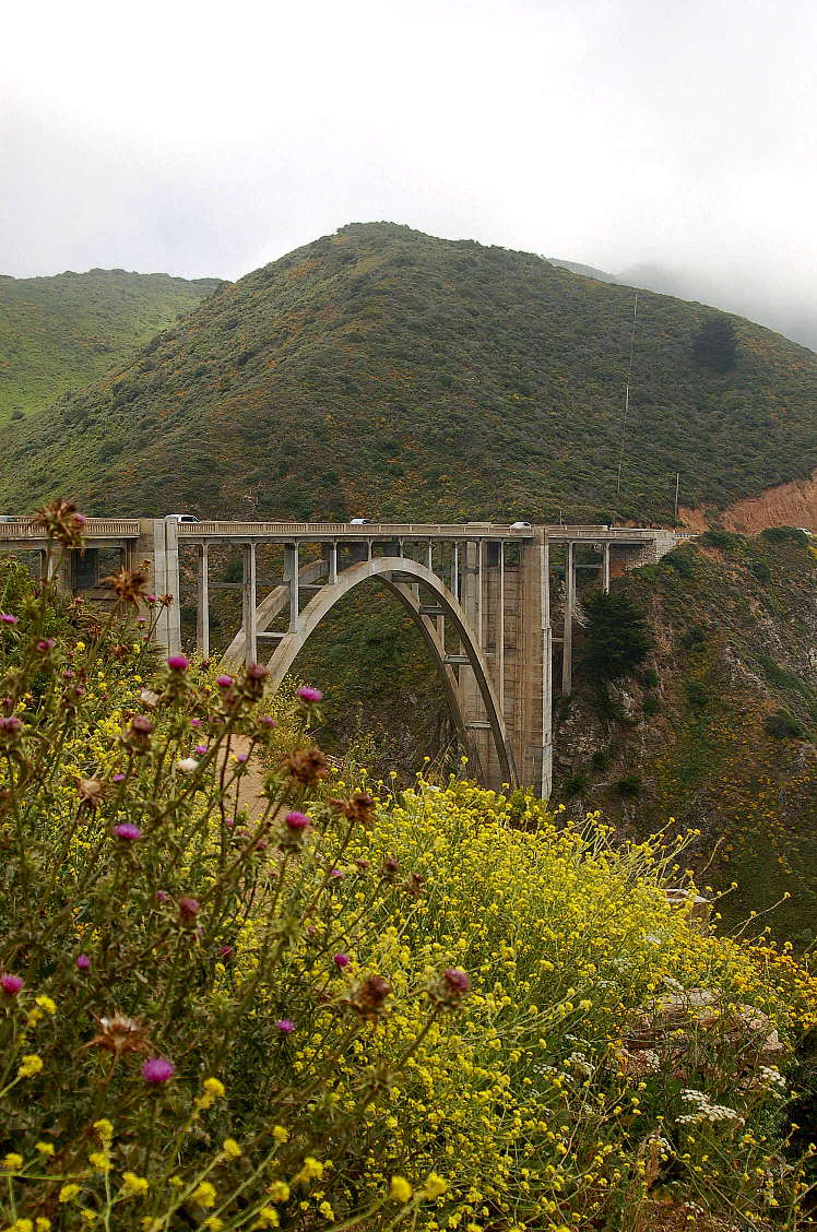 Photography by tlovesd for DesignCrowd (Community Contests) | Design #9034128