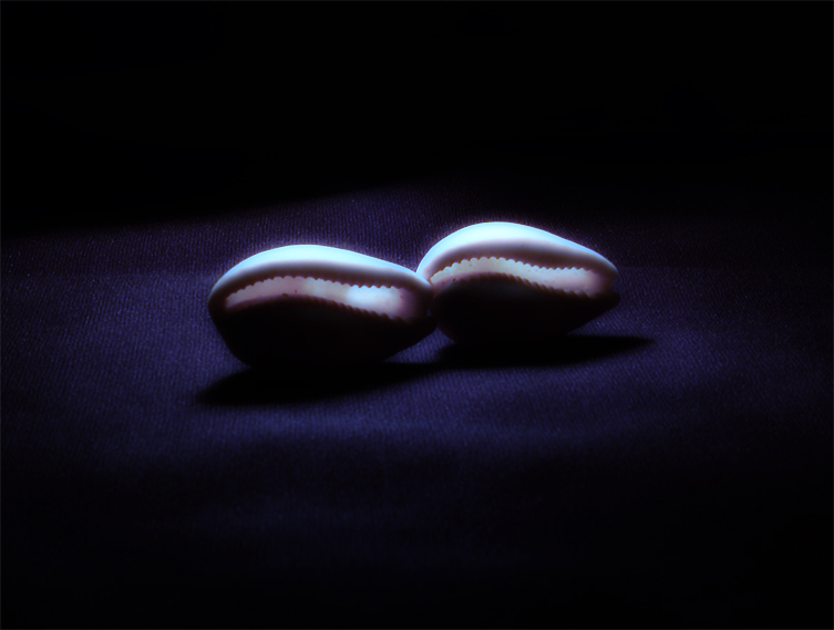 Photography by Tinman1000 for DesignCrowd (Community Contests) | Design #9035465