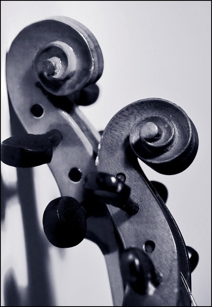 Fotografía por Ronbrandt para DesignCrowd (Community Contests) | Diseño #9035481