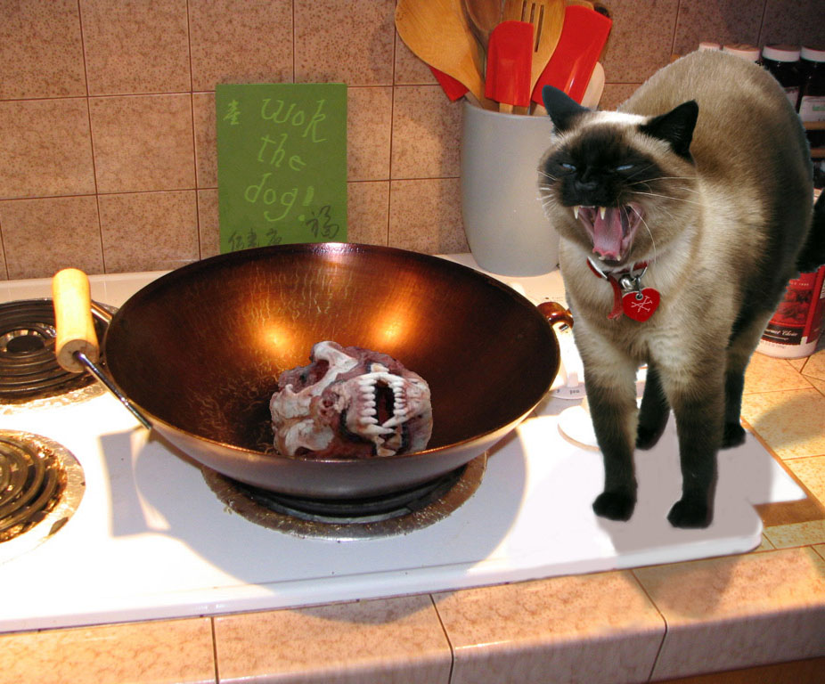 Photoshop Design by aznobananas for DesignCrowd (Community Contests) | Design #9038211