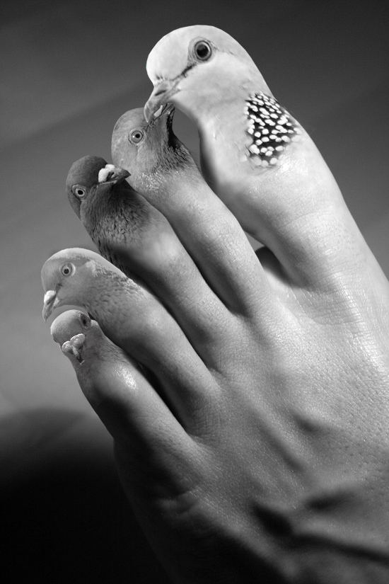 Photoshop Design by Sassydeb for DesignCrowd (Community Contests) | Design #9038243