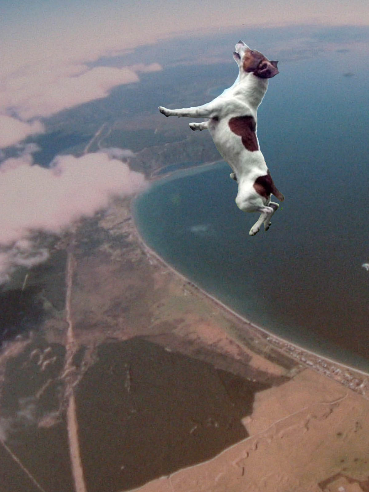 Photoshop Design by chumpzter for DesignCrowd (Community Contests) | Design #9038314