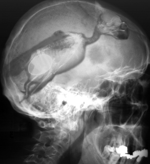 Photoshop-Design von Hobbit90 für DesignCrowd (Community Contests) | Design #9038331