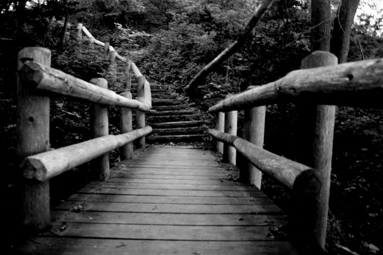 Photography by wendynicole for DesignCrowd (Community Contests) | Design #9034226