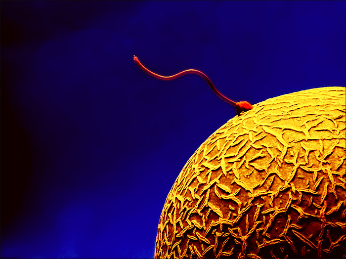 Photography by Norrit for DesignCrowd (Community Contests) | Design #9032022