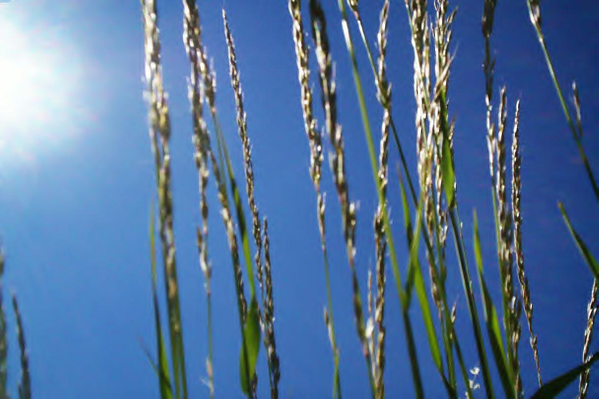 Photography by cherylm329 for DesignCrowd (Community Contests) | Design #9032105
