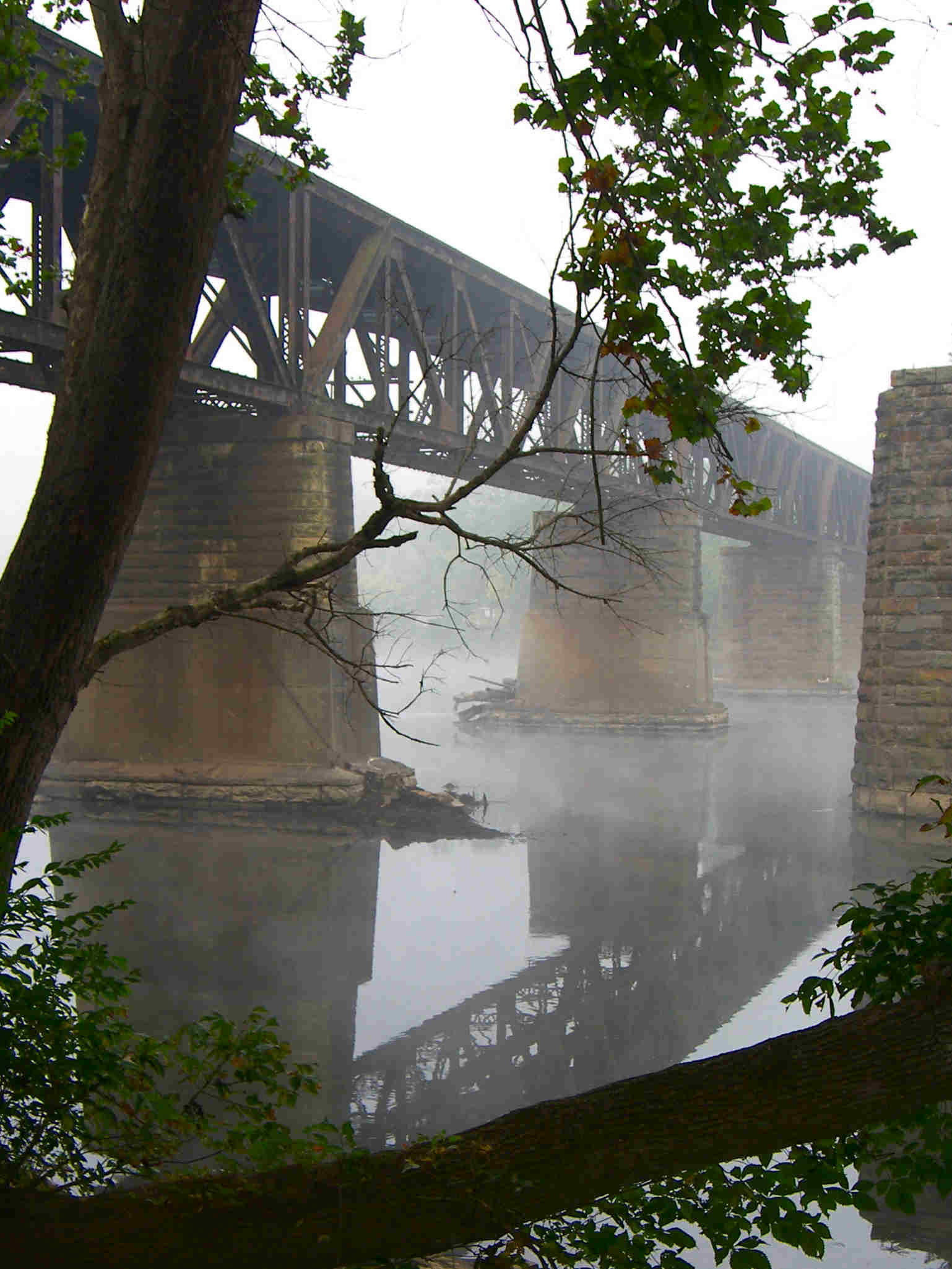 Photography by slimjewel1 for DesignCrowd (Community Contests) | Design #9034254