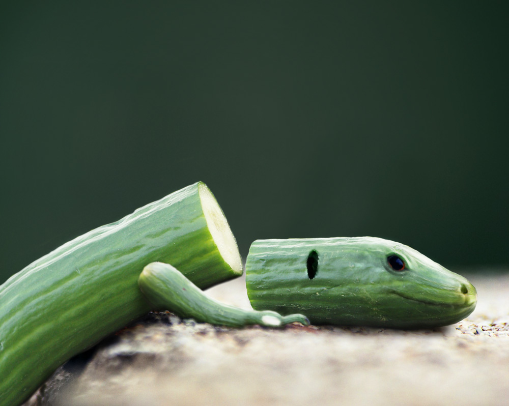 Diseño de Photoshop por MasterGnu para DesignCrowd (Community Contests) | Diseño #9033231