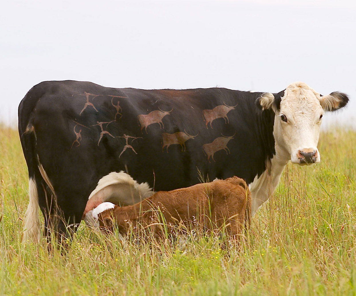 Photoshop Design by armiiin for DesignCrowd (Community Contests) | Design #9035878