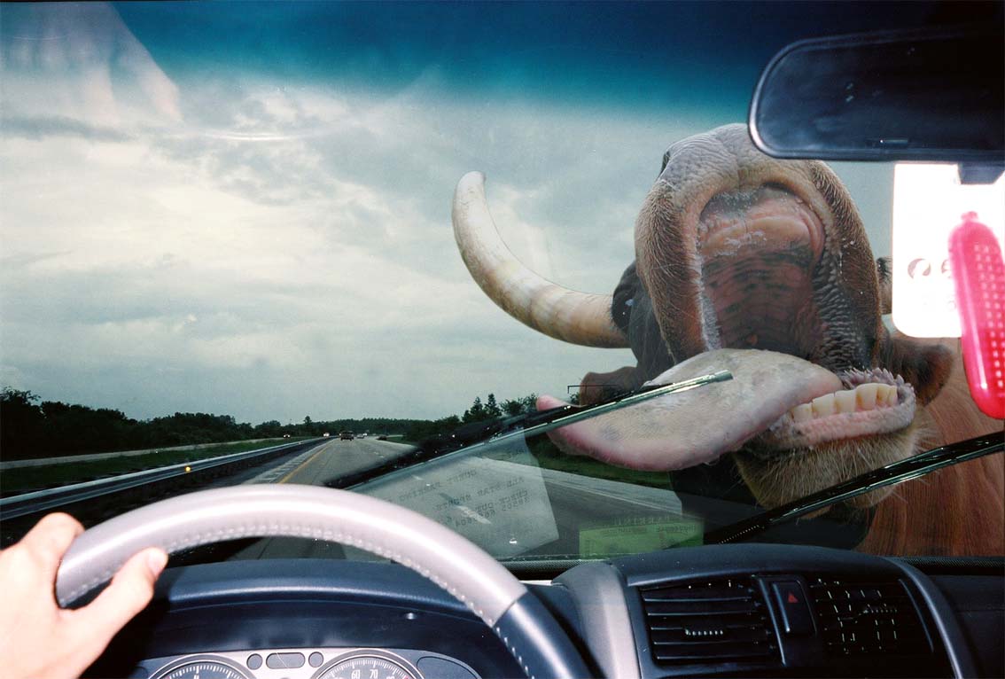 Photoshop Design by Jameschez15 for DesignCrowd (Community Contests) | Design #9035894