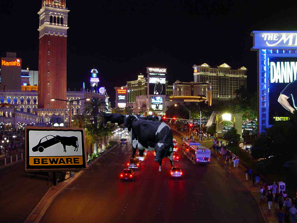 Design Photoshop par CRAZYLEGGSROGERS pour DesignCrowd (Community Contests) | Design #9035890